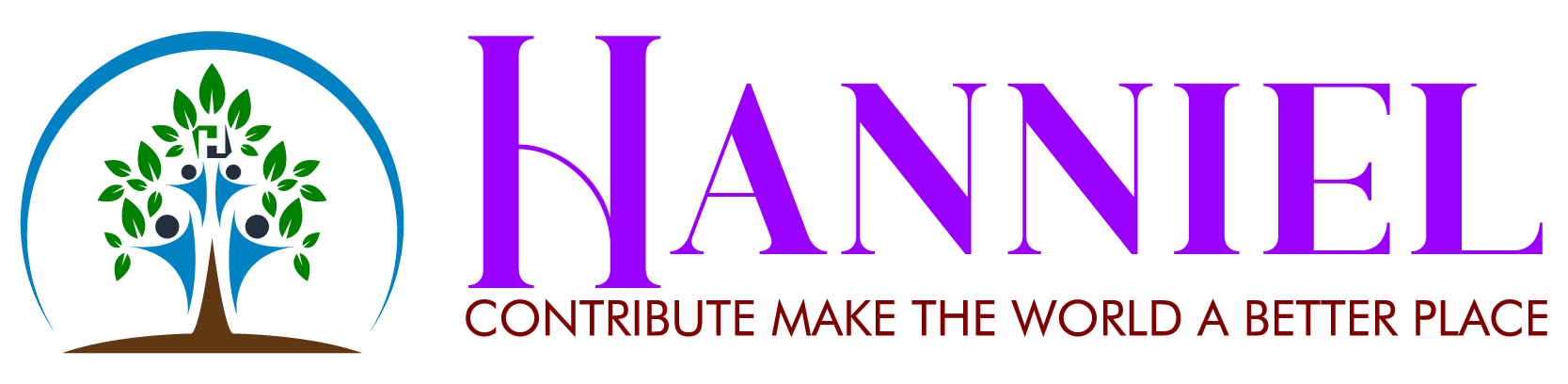 HANNIEL FOUNDATION LLC